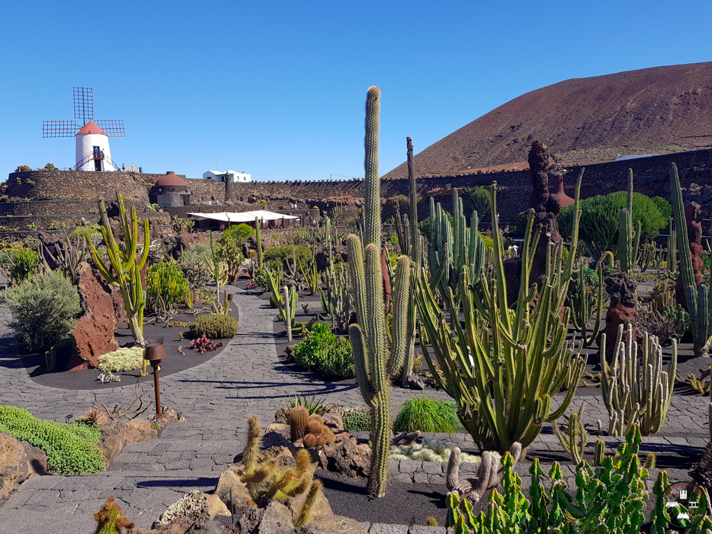 Jardin des Cactus de Cesar Manrique à Lanzarote